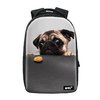 Rugzak One2 Hond Pug