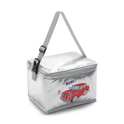schuifelen Sandalen Flash Auto Lunchbox Koeltas Zilver 6 L Stoere goedkope koeltas - reitontassen