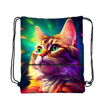 Gymtas Poes Disco