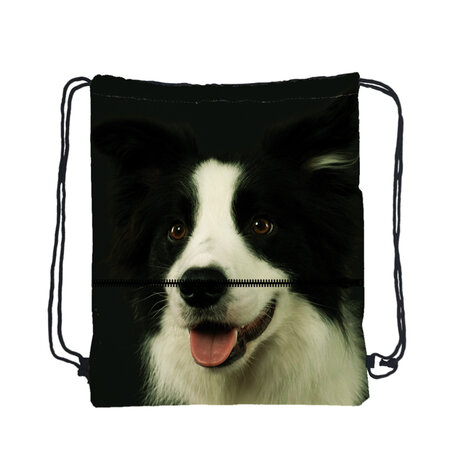 Gymtas Hond Border Collie