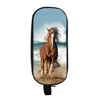 Etui Paard Strand